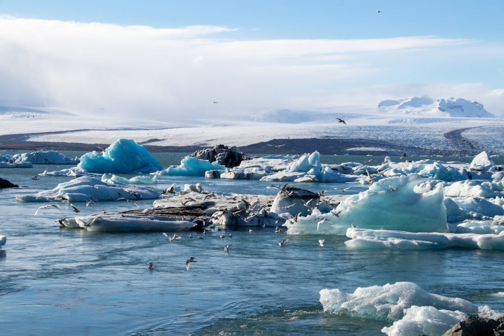 Scenic view of floating glaciers with seagulls over icy waters in Iceland, depicting climate change and winter beauty.